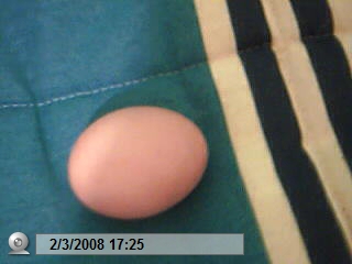 20080302172550-picture-60.jpg