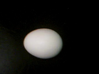 20080619163008-picture-3.jpg