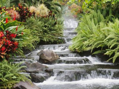 20100207155007-waterfall.jpg